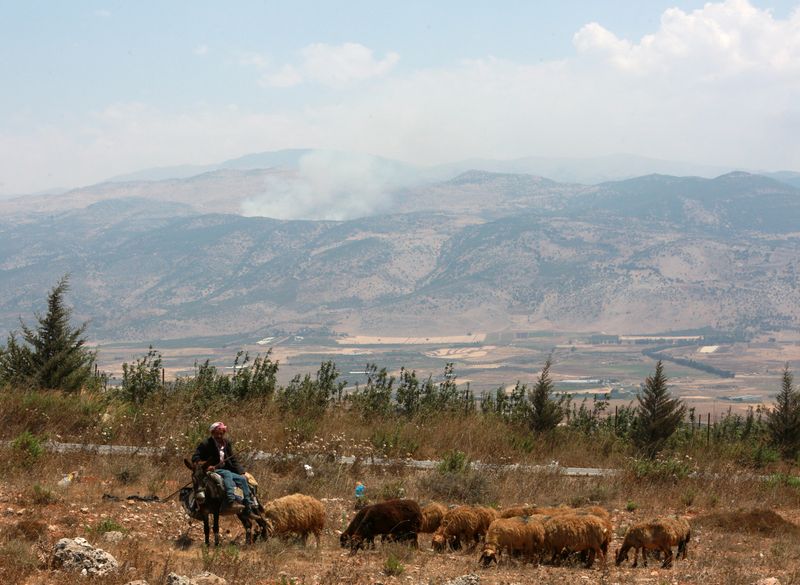 &copy; Reuters. FOTO DE ARCHIVO: Un pastor cuida de sus ovejas en la aldea de al-Ouazzani, cerca de la frontera entre el Líbano e Israel, en el sur del Líbano. 6 de agosto de 2021. REUTERS/Aziz Taher