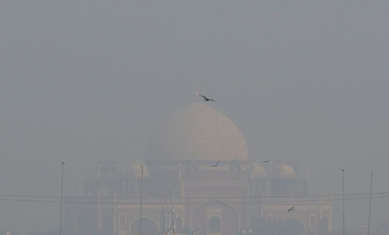 &copy; Reuters. مشهد يظهر ضريح همايون وسط ضباب دخاني صباحي في نيودلهي بالهند يوم الاثنين. تصوير: أنوشري فادنافيس - رويترز.