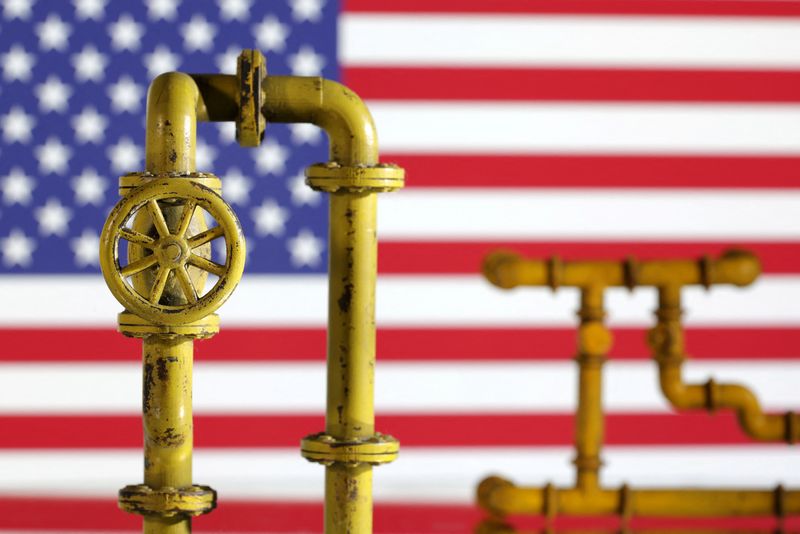 &copy; Reuters. Model of natural gas pipeline and U.S. flag, July 18, 2022. REUTERS/Dado Ruvic/Illustration