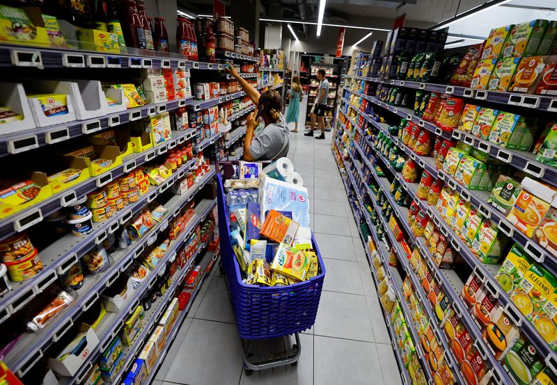 &copy; Reuters. A customer shops in a supermarket in Nice, France, August 18, 2022. REUTERS/Eric Gaillard/File Photo