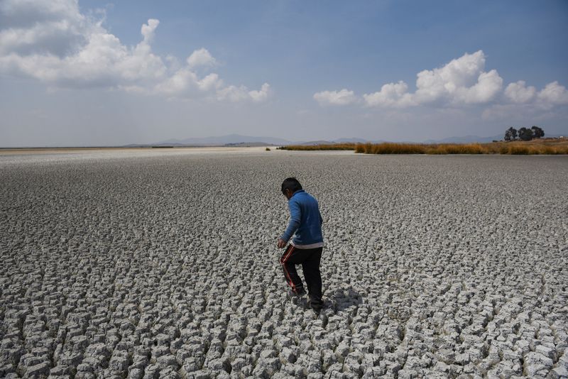&copy; Reuters. Alex Flores walks on a dry area of Lake Titicaca, Latin America's largest freshwater basin, as it is edging towards record low levels, on Cojata Island, Bolivia October 26, 2023. REUTERS/Claudia Morales/File Photo