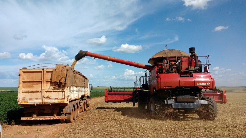 AgRural rebaja la previsión de la cosecha de soja en Brasil y prevé nuevos recortes