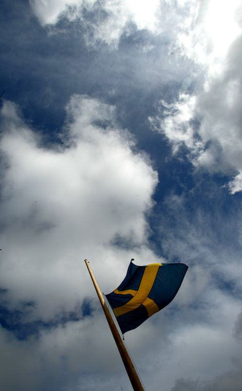 © Reuters. علم السويد في صورة من أرشيف رويترز. 