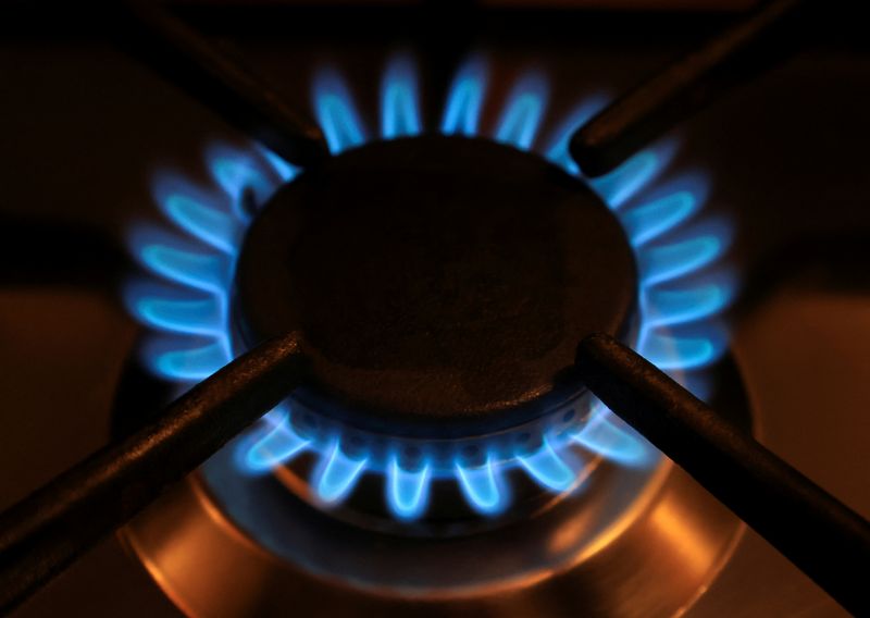 &copy; Reuters. FILE PHOTO: Gas flames of a cooker are pictured in a private home, as Russia's invasion of Ukraine continues, in Bad Honnef near Bonn, Germany, March 30, 2022.  REUTERS/Wolfgang Rattay/File Photo