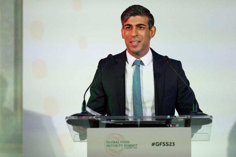 © Reuters. British Prime Minister Rishi Sunak speaks during the opening session of the Global Food Security Summit at Lancaster House in London, Britian November 20, 2023. Dan Kitwood/Pool via REUTERS