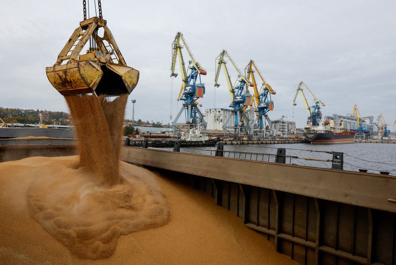 &copy; Reuters. FILE PHOTO: Wheat grain is loaded into the cargo vessel Mezhdurechensk before its departure for the Russian city of Rostov-on-Don in the course of Russia-Ukraine conflict in the port of Mariupol, Russian-controlled Ukraine, October 25, 2023. REUTERS/Alexa