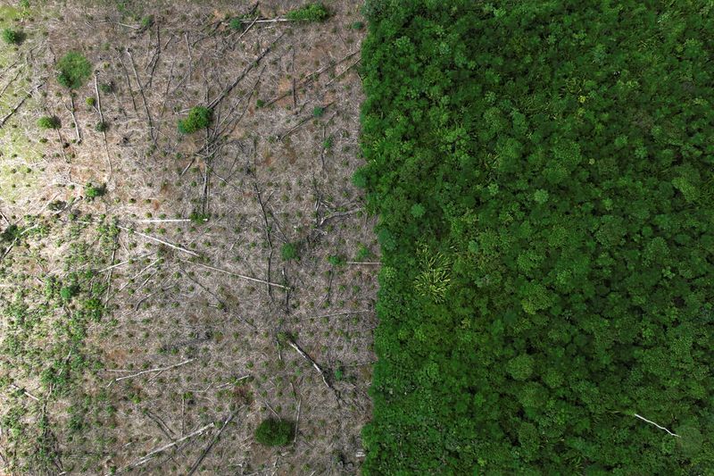&copy; Reuters. Imagem de drone mostra área desmatada da floresta amazônica perto de Uruará, no Pará
21/01/2023
REUTERS/Ueslei Marcelino
