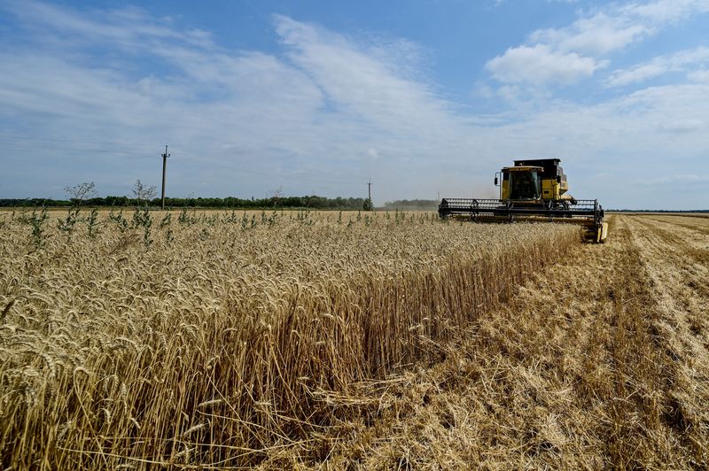 &copy; Reuters. FILE PHOTO: An agricultural worker operates a combine during a wheat harvesting in a field, amid Russia's attack on Ukraine, in Zaporizhzhia region, Ukraine July 14, 2023. REUTERS/Stringer/File Photo