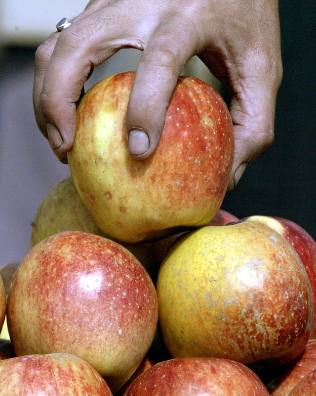 &copy; Reuters. Maçã em supermercado
5/10/2004
REUTERS