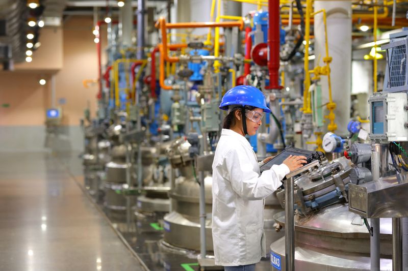 © Reuters. FILE PHOTO: A view inside of Sai Life Sciences' manufacturing facility in Bindar, Karnataka, India September 2023. Sai Life Sciences Limited/via REUTERS/File Photo