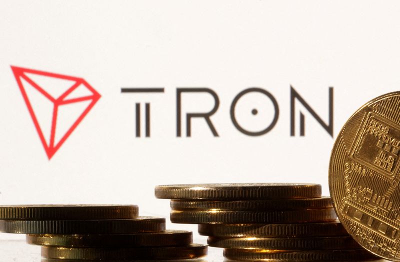 &copy; Reuters. FILE PHOTO: Representations of cryptocurrencies are seen in front of displayed Tron logo in this illustration taken November 10, 2022. REUTERS/Dado Ruvic/Illustration/File Photo