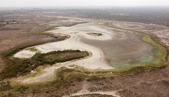 &copy; Reuters. FOTO DE ARCHIVO. Una vista aérea muestra la laguna de Santa Olalla, la mayor laguna permanente de los humedales de Doñana, en el sur de España, completamente seca por segundo verano consecutivo en medio de la prolongada sequía del país y la sobreexpl