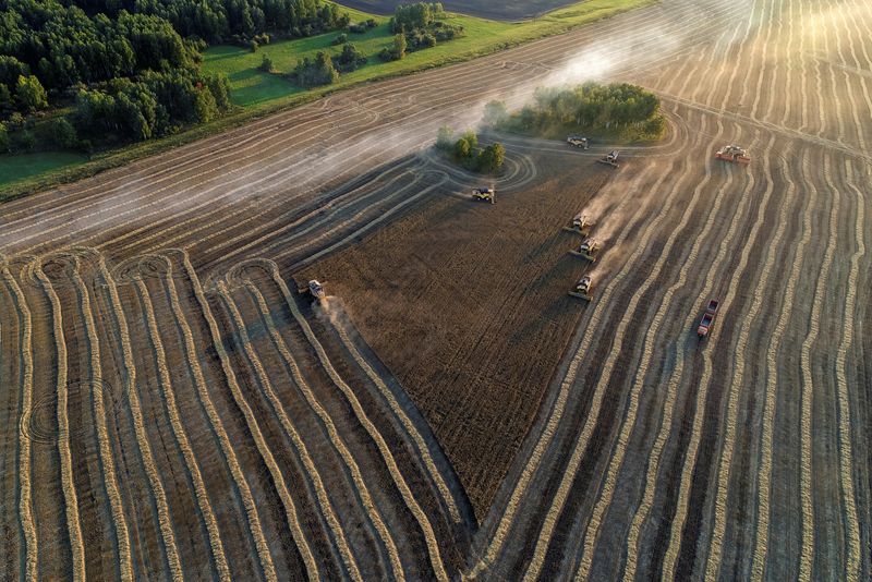 &copy; Reuters. Vista de colheita de trigo em campo na Sibéria, Rússia