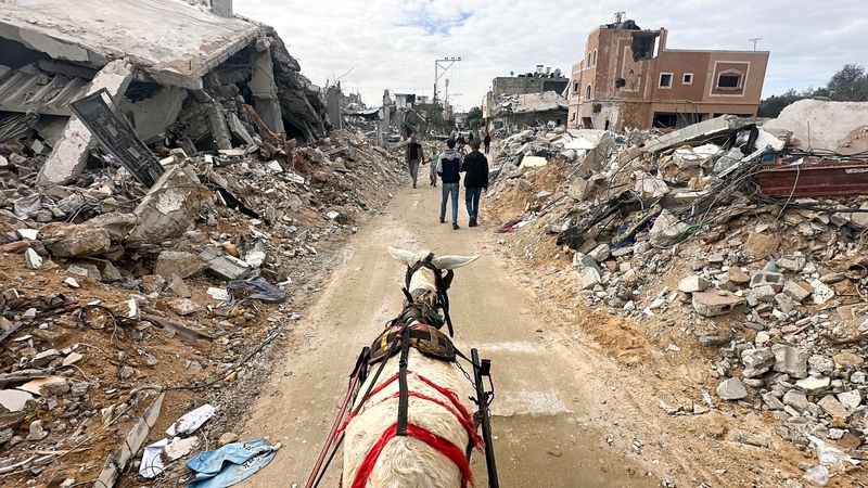 &copy; Reuters. Un burro tirando de un carro pasa junto a las ruinas de las casas destruidas por los ataques israelíes durante el conflicto, en medio de una tregua temporal entre Israel y el grupo palestino Hamás, en Jan Yunis, en el sur de la Franja de Gaza, 28 de nov