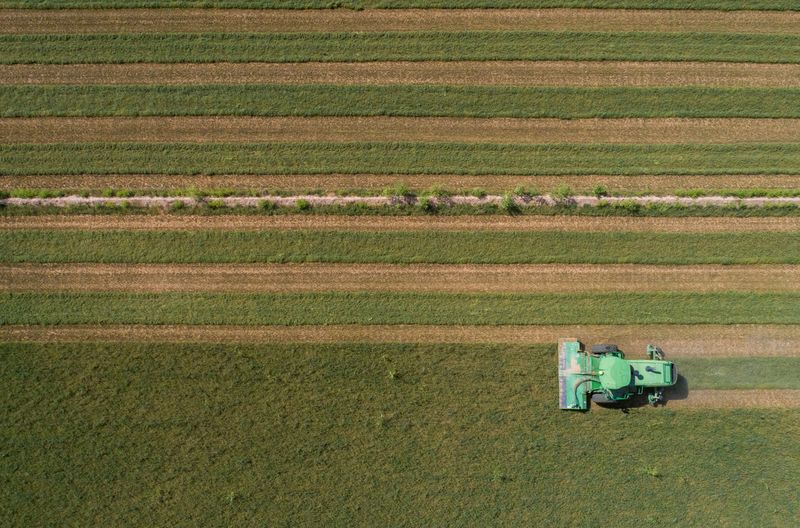 &copy; Reuters. FILE PHOTO: An alfalfa field, a water-intensive crop, is cut by a Triple M Farms employee amid extreme drought conditions in Pinal County near Casa Grande, Arizona, U.S., August 27, 2022.  REUTERS/Rebecca Noble/File Photo