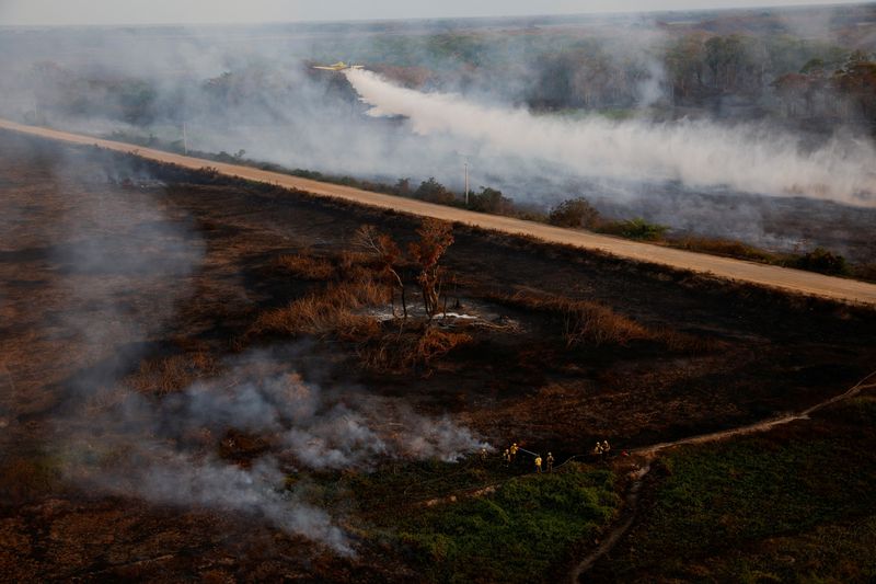 &copy; Reuters. FILE PHOTO: Agents of ICMBio (Chico Mendes Institute for Biodiversity Conservation) and IBAMA (Brazilian Institute for the Environment and Renewable Natural Resources) work to extinguish a fire in the Pantanal, the world's largest wetland, in Pocone, Mato