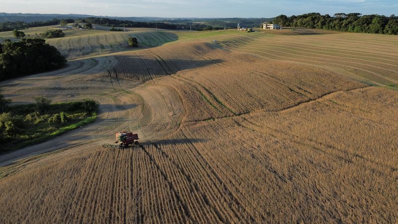 &copy; Reuters. Colheita de soja em campo de Ponta Grossa, Paraná. REUTERS/Rodolfo Buhrer