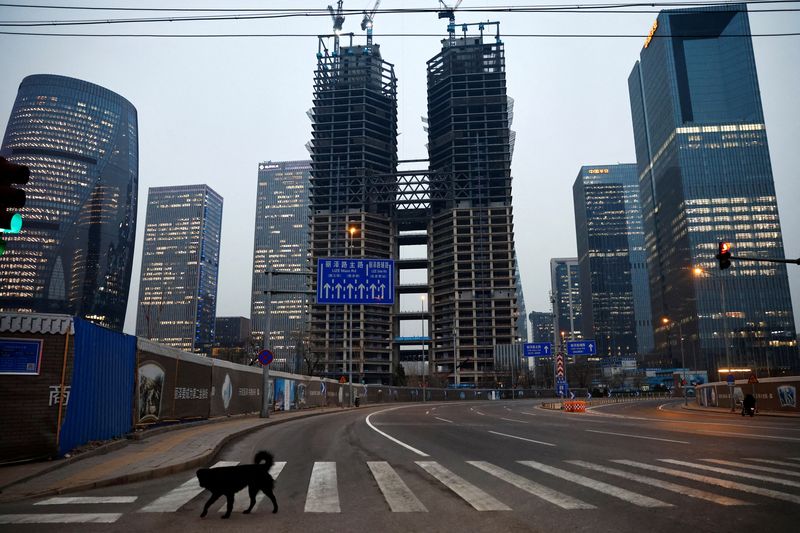 &copy; Reuters. FILE PHOTO: A dog crosses a road at a financial district with buildings under construction, in Beijing, China January 11, 2023. REUTERS/Tingshu Wang