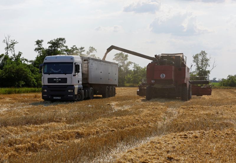 &copy; Reuters. FOTO DE ARCHIVO. Una segadora carga un camión con trigo durante la cosecha en un campo en la región de Zaporiyia, controlada por Rusia, en Ucrania. 4 de julio de 2023. REUTERS/Alexander Ermochenko