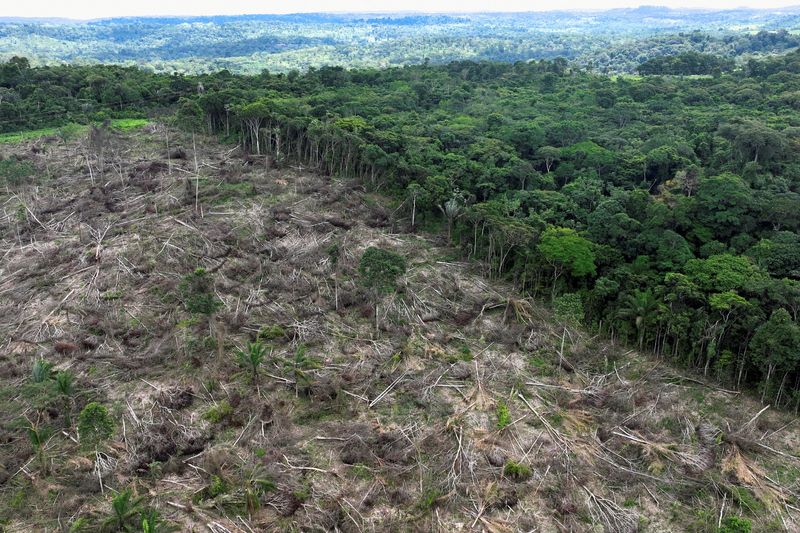 &copy; Reuters. Área desmatada da Amazônia perto de Uruará, no Pará
21/01/2023
REUTERS/Ueslei Marcelino