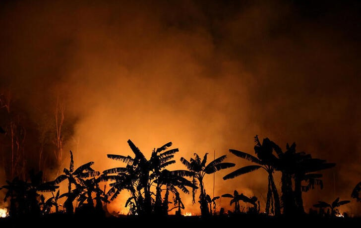 &copy; Reuters. Imagen de archivo de un incendio en una zona de la selva amazónica cerca de Porto Velho, Brasil. 9 septiembre 2019. REUTERS/Bruno Kelly