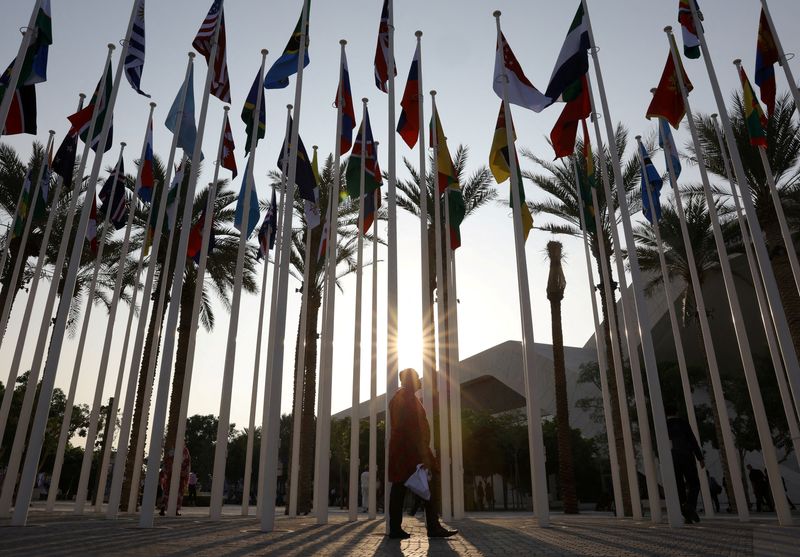 &copy; Reuters. Bandeiras na COP28 em Dubai
 3/12/2023   REUTERS/Amr Alfliky