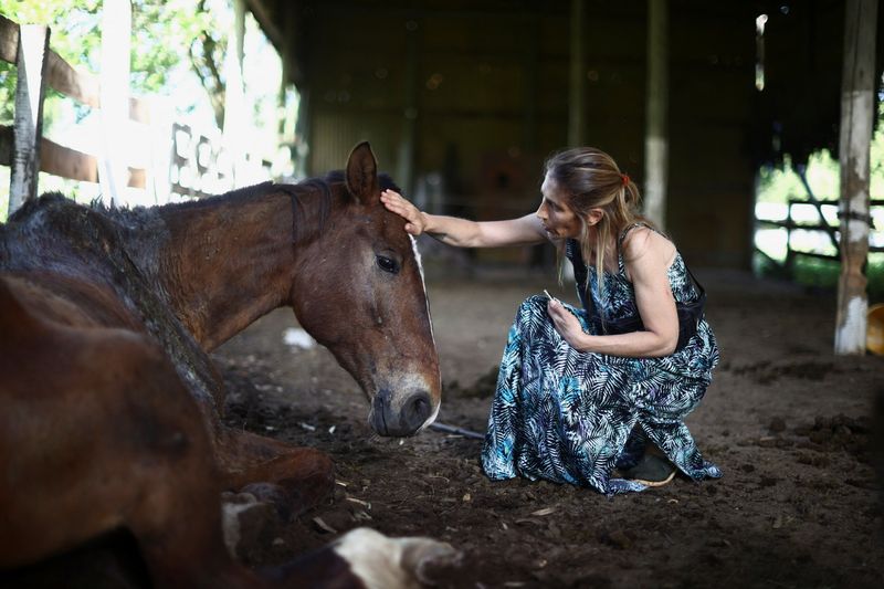 In Argentina, land of the gaucho, a home for unloved old horses