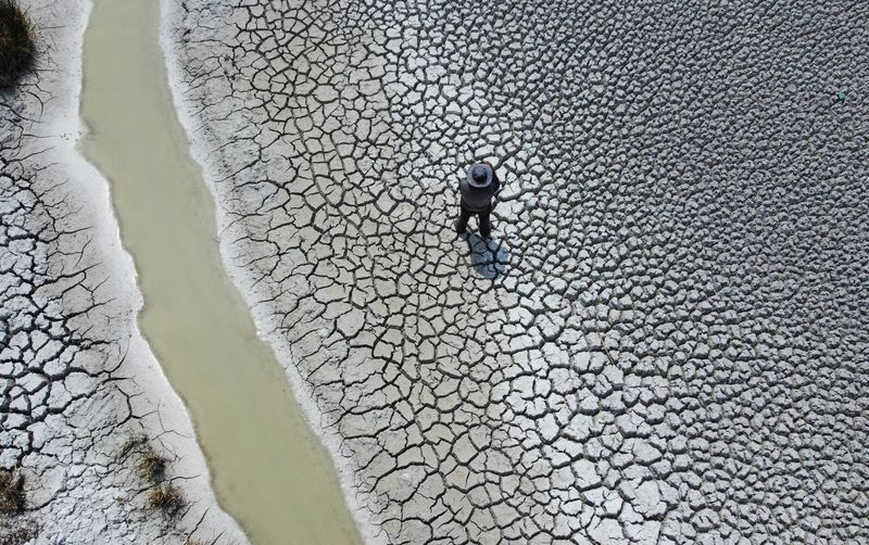 &copy; Reuters. Homem caminha em área seca do Lago Titicaca, na ilha Cojata, Bolívia
26/10/2023
REUTERS/Claudia Morales
