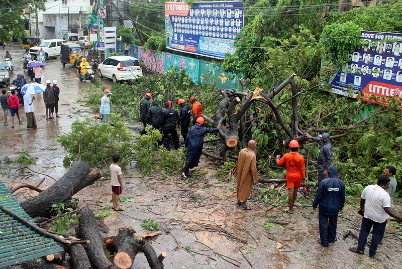© Reuters. Members of Andhra Pradesh State Disaster Response Force (APSDRF) cut the branches off a fallen tree after Cyclone Michaung made landfall, in Nellore district, in the southern state of Andhra Pradesh, India, December 5, 2023. REUTERS/Stringer