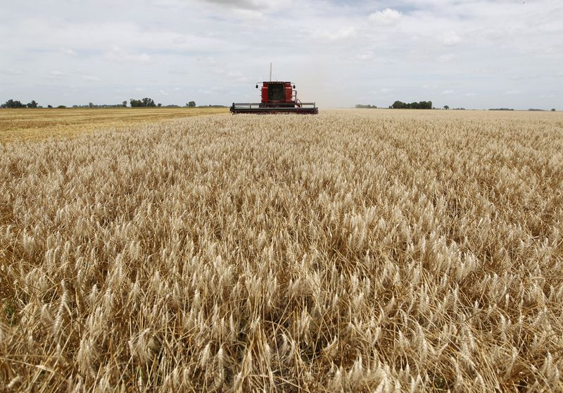 &copy; Reuters. Colheitadeira atravessa campo de trigo. REUTERS/Enrique Marcarian