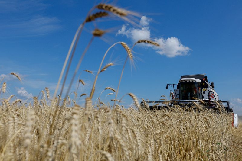 &copy; Reuters. FILE PHOTO: A farmer operates a combine while harvesting wheat in a field in the course of Russia-Ukraine conflict near Luhansk, Russian-controlled Ukraine, July 18, 2023. REUTERS/Alexander Ermochenko/File Photo