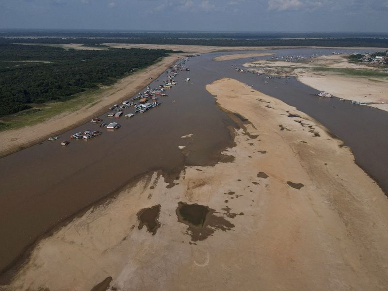 &copy; Reuters. منظر عام لبحيرة تيفي التي تصب في نهر سوليمو والتي تأثرت بدرجات الحرارة المرتفعة والجفاف في تيفي في البرازيل بتاريخ الأول من أكتوبر تشرين ال