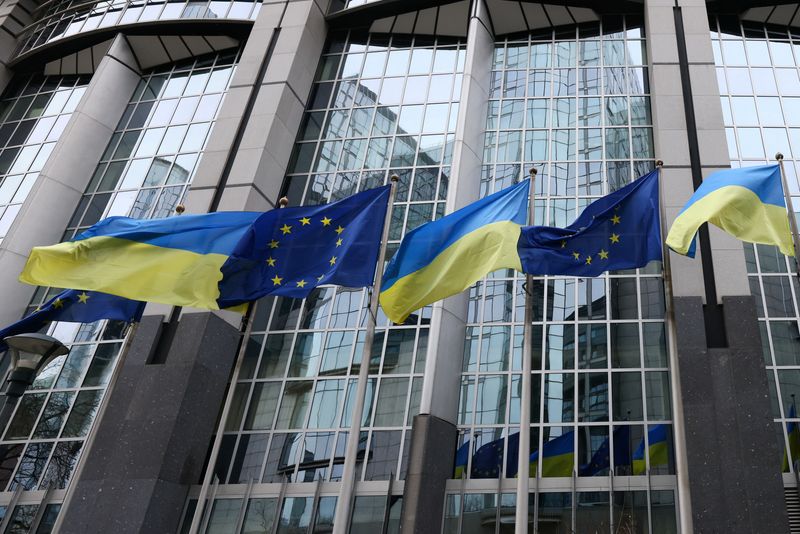 Explainer-What Ukraine needs to do to keep its EU membership bid alive