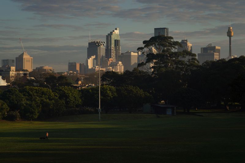 © Reuters. FILE PHOTO: A person walks dogs through a park in front of the city skyline at sunrise in Sydney, Australia, August 28, 2022.  REUTERS/Loren Elliott/File Photo
