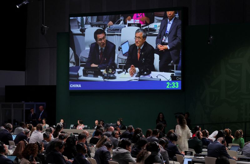 &copy; Reuters. Un delegato della Cina parla durante una riunione plenaria, dopo la pubblicazione di una bozza di accordo negoziale, alla Conferenza delle Nazioni Unite sui cambiamenti climatici Cop28 a Dubai, negli Emirati Arabi Uniti,13 dicembre 2023. REUTERS/Amr Alfik