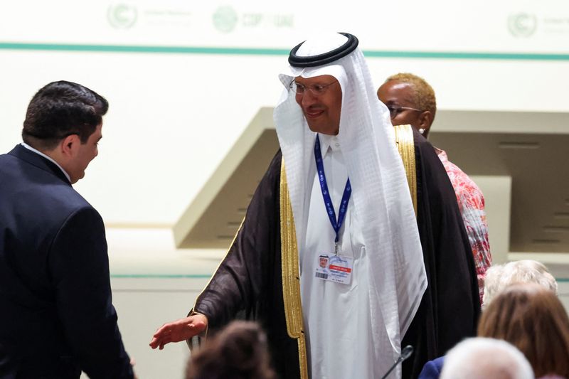 &copy; Reuters. وزير الطاقة السعودي الأمير عبد العزيز بن سلمان خلال جلسة عامة بعد إصدار مسودة اتفاق التفاوض في مؤتمر الأمم المتحدة المعني بتغير المناخ (كوب2