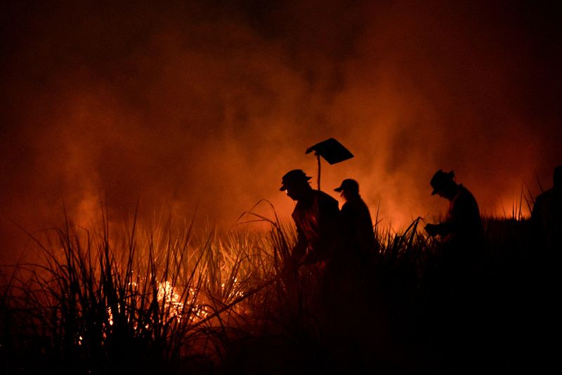 &copy; Reuters. FILE PHOTO: Firefighters tackle fire in a field as forest fires ravage the Bolivian Amazon, in San Buenaventura, Bolivia November 22, 2023. REUTERS/Claudia Morales//File Photo