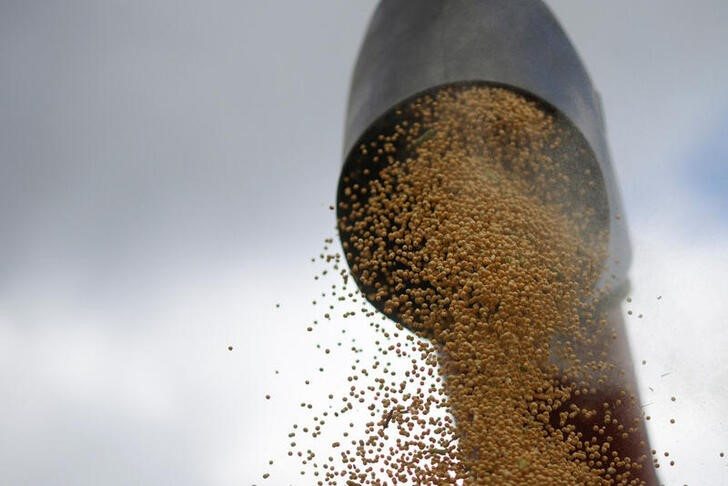 &copy; Reuters. Imagen de archivo de un cargamento de soja en un camión tras su cosecha en una granja en Luziania, Brasil. 9 febrero 2023. REUTERS/Adriano Machado