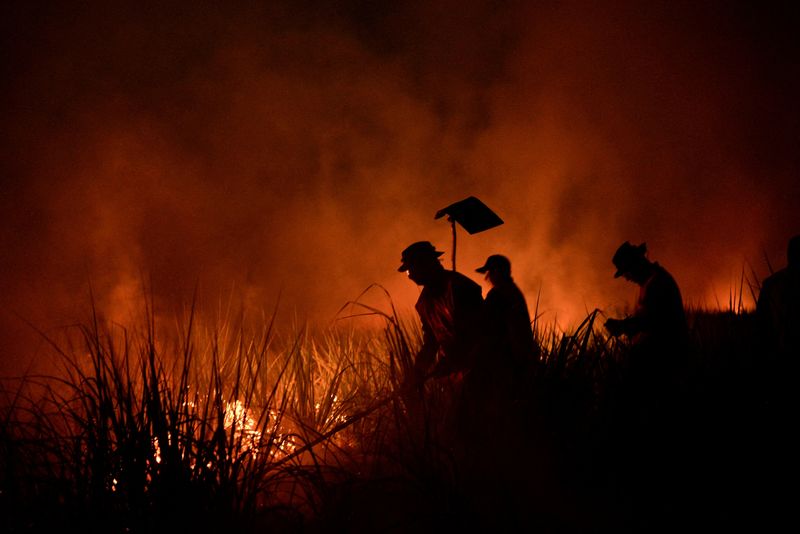 &copy; Reuters. Bombeiros combatem incêndio florestal na Amazônia boliviana, em San Buenaventura, Bolívia
22/11/2023
REUTERS/Claudia Morales