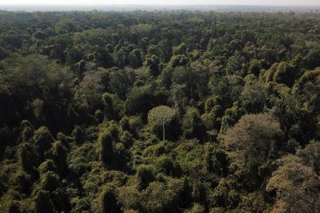 Câmara aprova usar recursos do Fundo Amazônia para asfaltar rodovia entre Porto Velho e Manaus