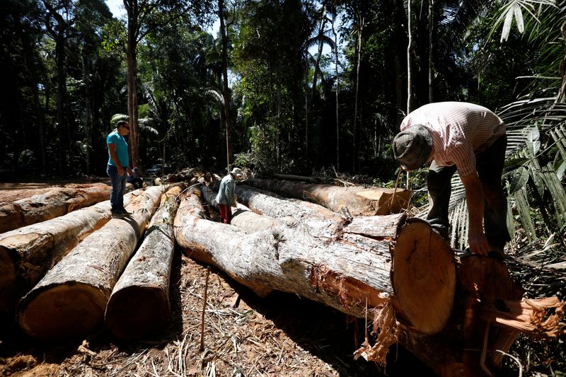 Brazil lawmakers pass bill to pave a highway through Amazon rainforest