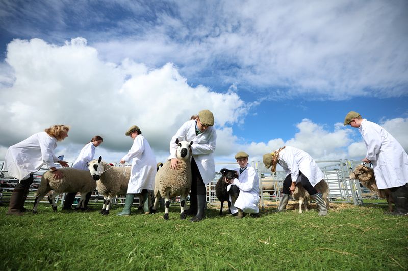 Urban school farm opens world of opportunity to British teens