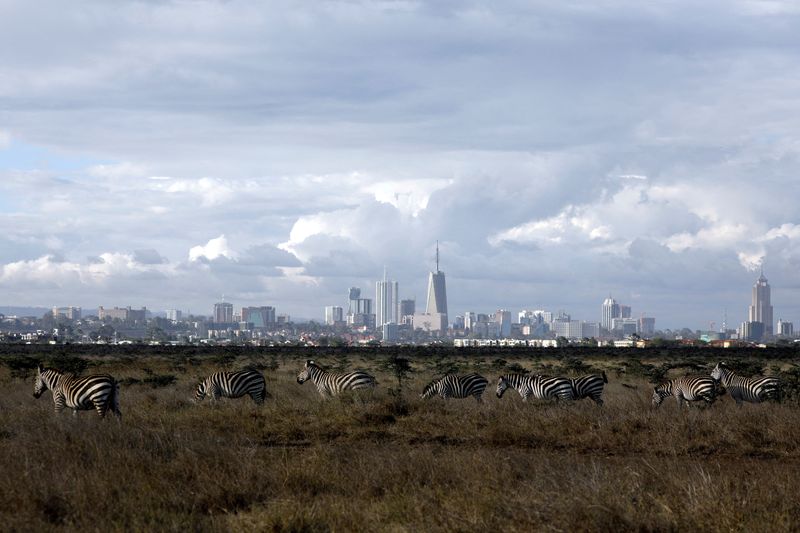 &copy; Reuters. FILE PHOTO: The Nairobi skyline is seen in the background as zebras walk through the Nairobi National Park, near Nairobi, Kenya, December 3, 2018. REUTERS/Amir Cohen/File Photo