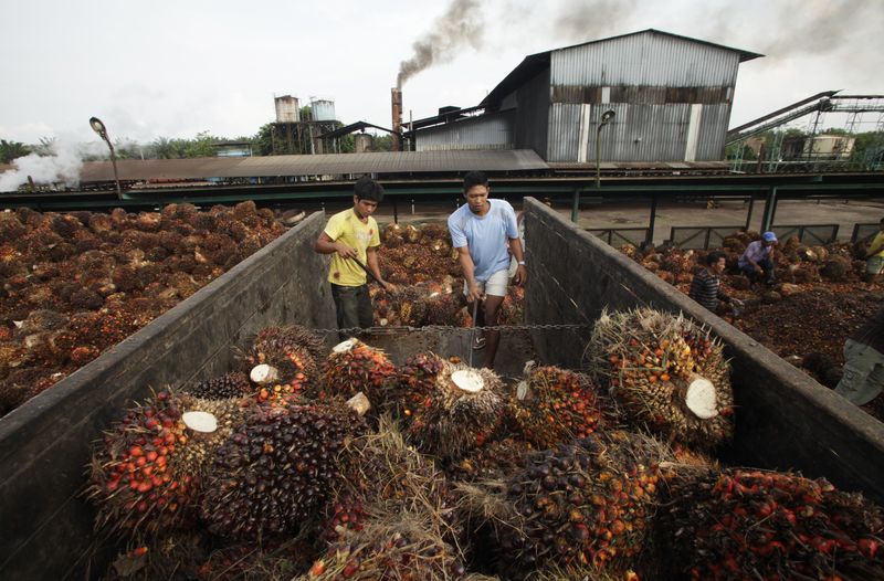 &copy; Reuters. Unidade de processamento de óleo de palma na Indonésia