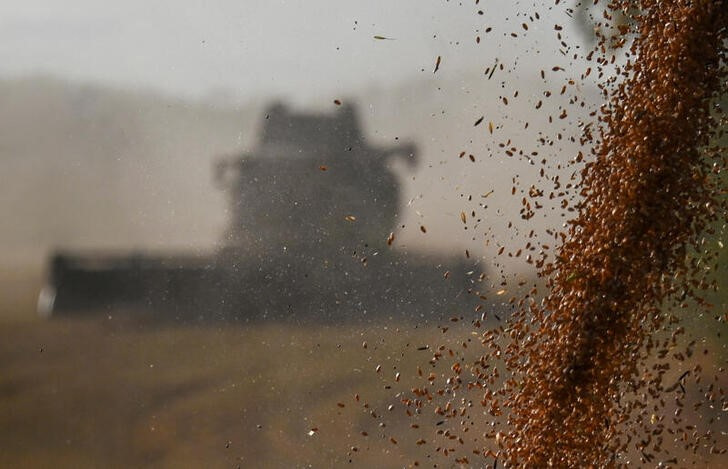 Rusia reporta cosecha de 142,6 millones de toneladas de cereales, la segunda mayor de su historia