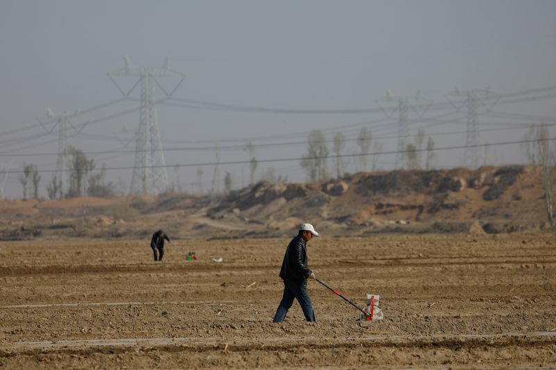 &copy; Reuters. FOTO DE ARCHIVO: Trabajadores utilizan sembradoras para plantar semillas de maíz en los campos de un pueblo a las afueras de Wuwei, provincia de Gansu, China. 14 de abril, 2021. REUTERS/Carlos García Rawlins/Archivo