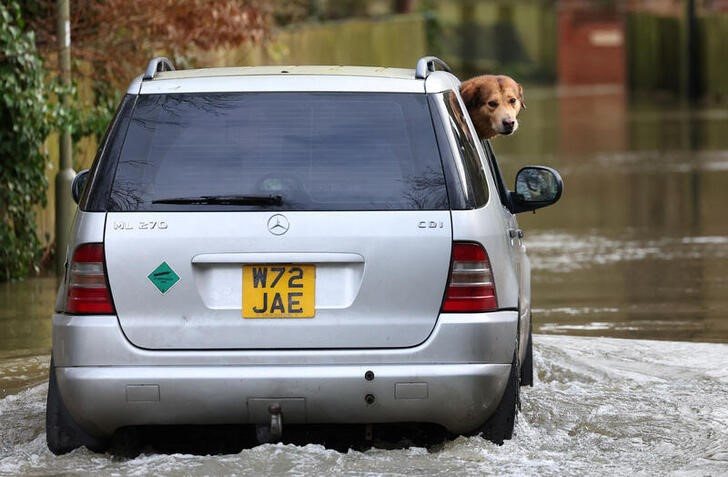 © Reuters. Un perro mira por la ventanilla mientras un auto avanza por una carretera inundada por el paso de la tormenta Henk, en Henley-on-Thames, Reino Unido. 5 enero 2024. REUTERS/Toby Melville