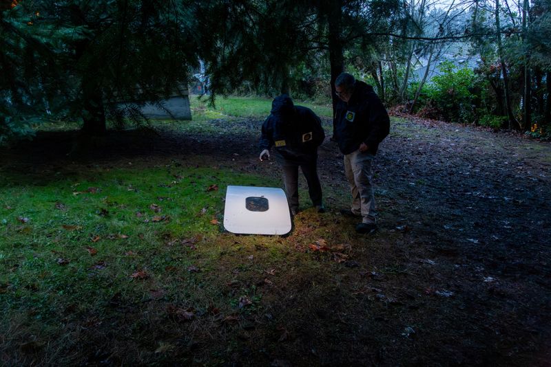 Oregon schoolteacher finds missing Boeing plane part in backyard trees