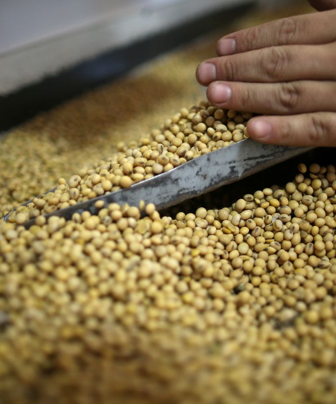 &copy; Reuters. Soja en una planta de almacenamiento de la empresa Grobocopatel Hermanos en Carlos Casares. Buenos Aires. Argentina. Foto de archivo Apr 16, 2018. REUTERS/Agustin Marcarian