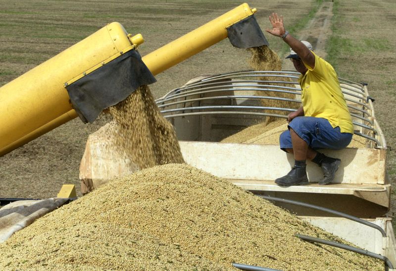 &copy; Reuters. Carregamento de grãos após colheita
19/03/2004
REUTERS/Paulo Whitaker